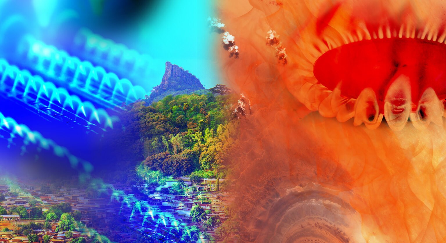 Appel à projets de l’OIF 2026