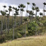 Appel à projets CEPF 2026 pour la biodiversité ouest-africaine